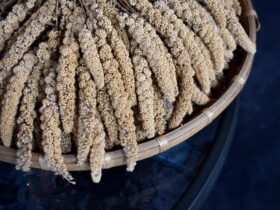 Sorghum-Biji-bijian Menjadi alternatif makanan yang lebih sehat