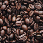 Ilustrasi Perkebunan Kopi