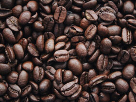 Ilustrasi Perkebunan Kopi