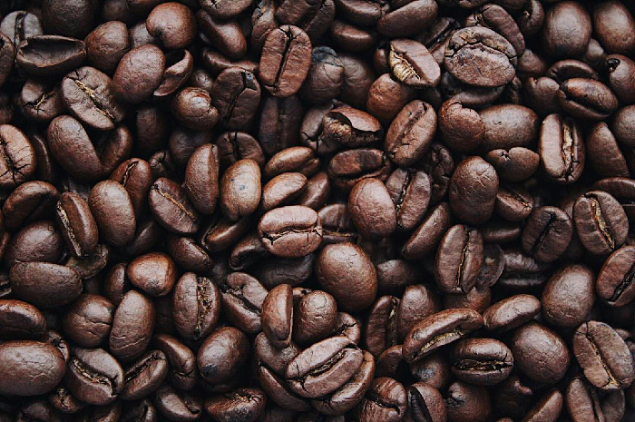Ilustrasi Perkebunan Kopi