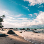 Ekosistem Pantai