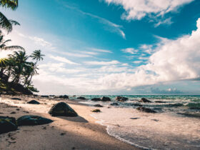 Ekosistem Pantai