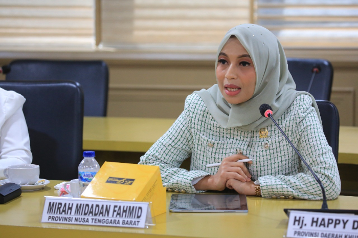 Senator Mirah Desak Pengalihan Kewenangan Pelabuhan dan Evaluasi Skema PNBP-PKH Demi Keadilan Fiskal Daerah
