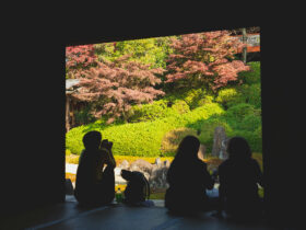 Kyoto memiliki jumlah turis asing yang lebih banyak dibandingkan warga lokal!